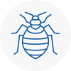 Bed Bug Extermination In Nunhead