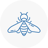 Bee Nest Removal Nunhead