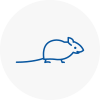 Mice Exterminators In Nunhead