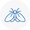 Moth Control Specialists In Nunhead