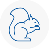 Nunhead Rodent Removals